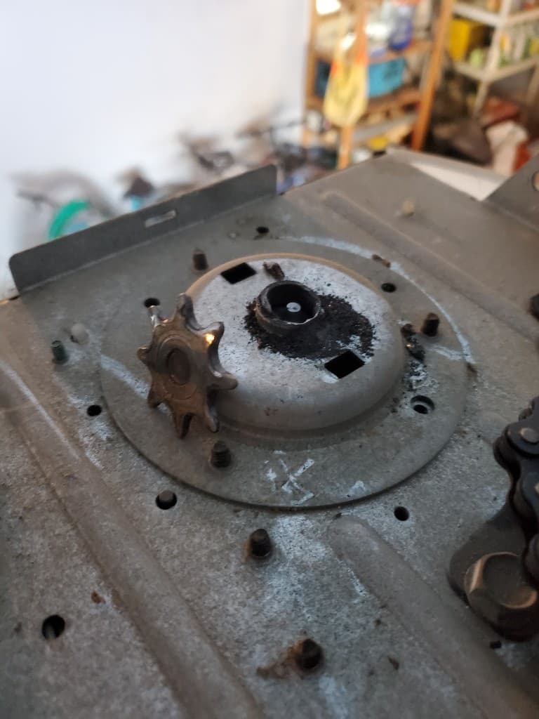 Opener gear replacement in Vanier, East Ottawa